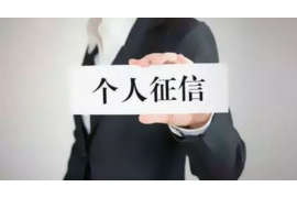 新宾新宾专业催债公司，专业催收